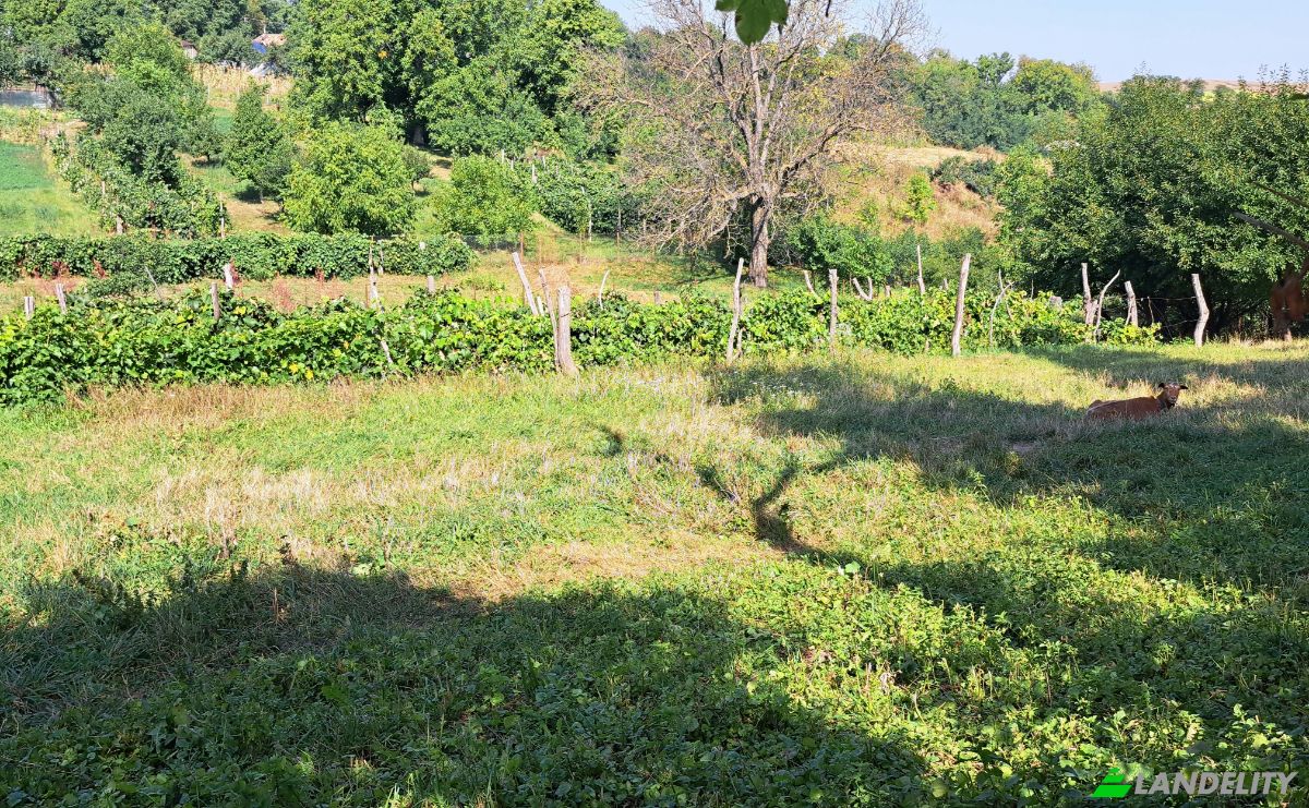 Lote de terreno en venta Str Eroilor 11, Hlapesti, Dragomiresti, Neamt County, Romania. Foto 12