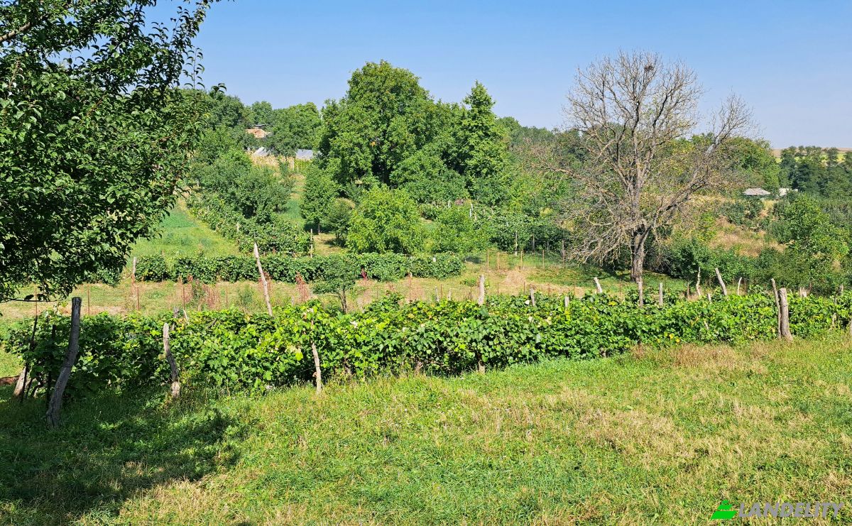 Lote de terreno en venta Str Eroilor 11, Hlapesti, Dragomiresti, Neamt County, Romania. Foto 2