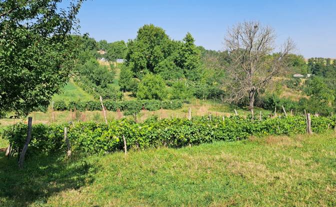 Lote de terreno en venta Str Eroilor 11, Hlapesti. Foto#2