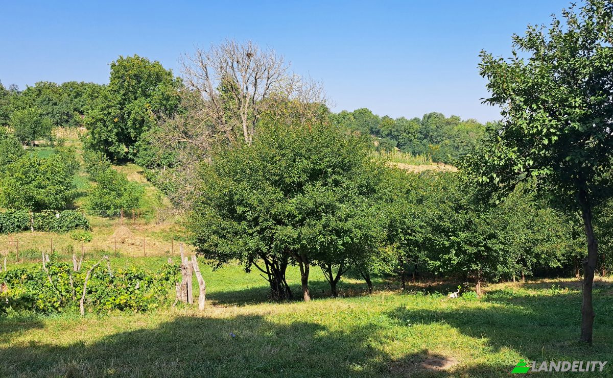 Lote de terreno en venta Str Eroilor 11, Hlapesti, Dragomiresti, Neamt County, Romania. Foto 5