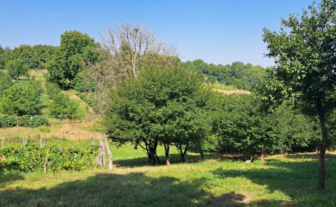 Lote de terreno en venta Str Eroilor 11, Hlapesti. Foto#5