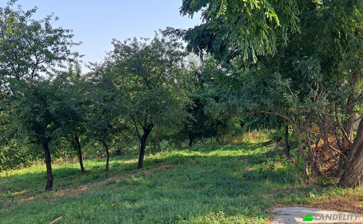 Lote de terreno en venta Str Eroilor 11, Hlapesti, Dragomiresti, Neamt County, Romania. Foto 6