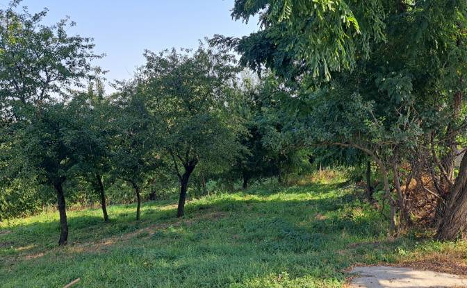 Lote de terreno en venta Str Eroilor 11, Hlapesti. Foto#6