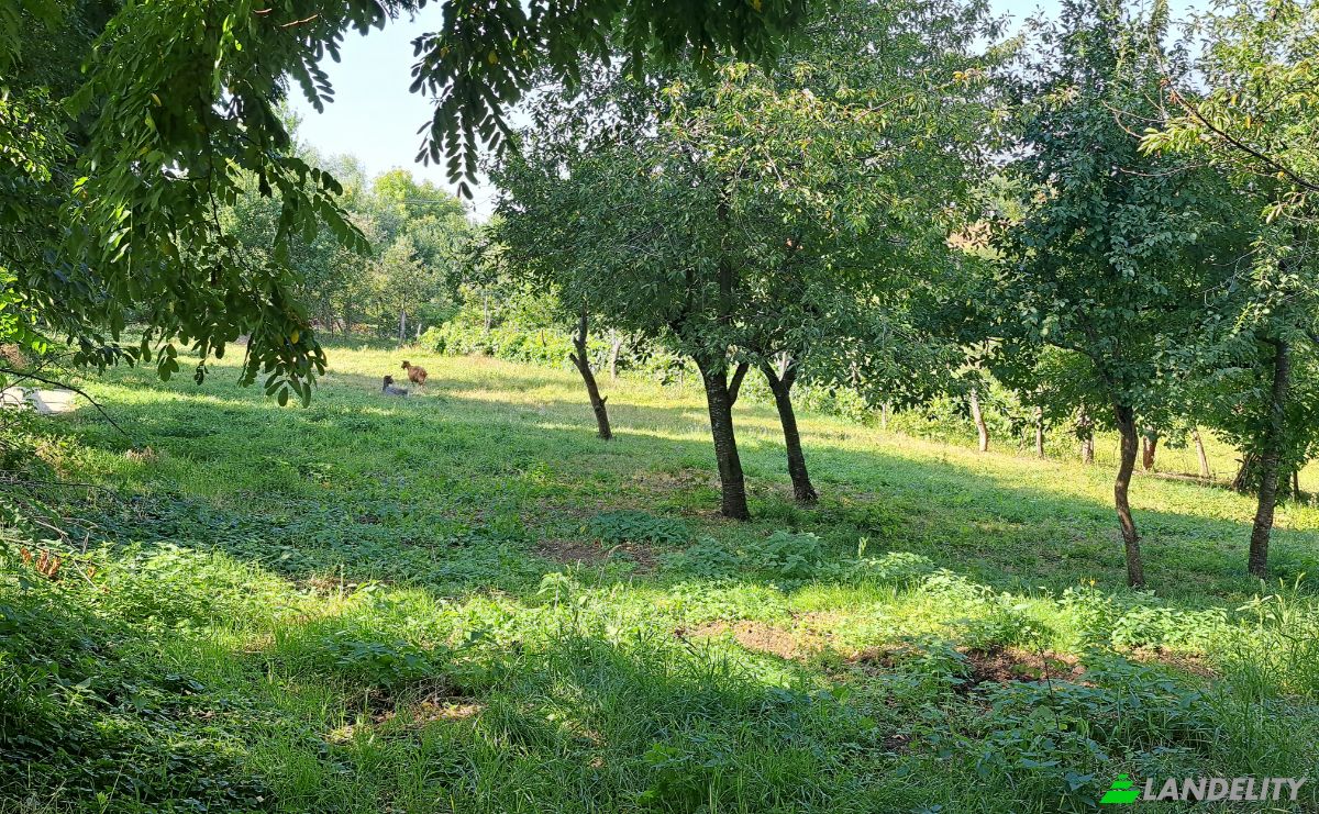 Lote de terreno en venta Str Eroilor 11, Hlapesti, Dragomiresti, Neamt County, Romania. Foto 8