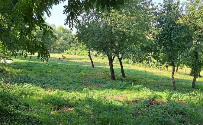 Lote de terreno en venta Str Eroilor 11, Hlapesti. Foto#8