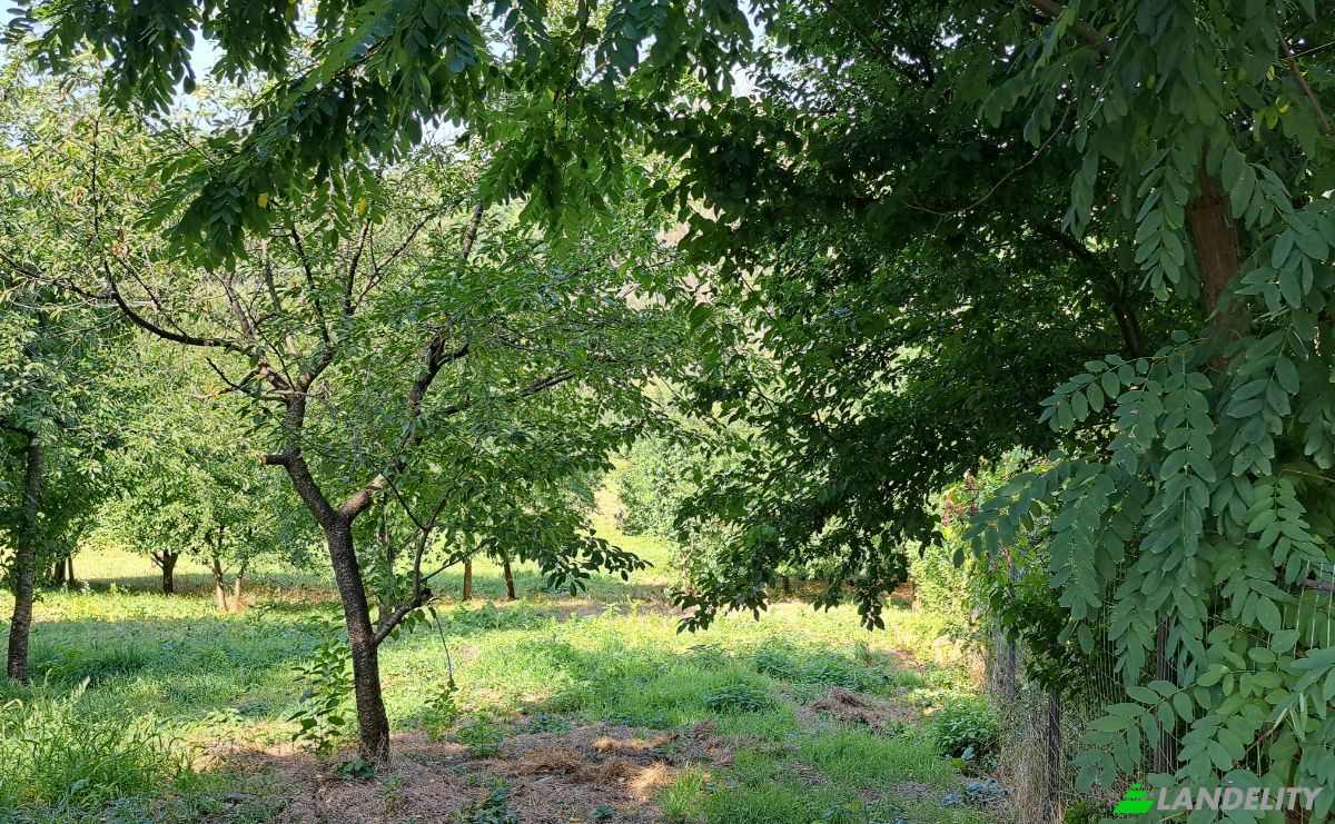 Lote de terreno en venta Str Eroilor 11, Hlapesti, Dragomiresti, Neamt County, Romania. Foto 9