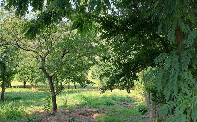 Lote de terreno en venta Str Eroilor 11, Hlapesti. Foto#9