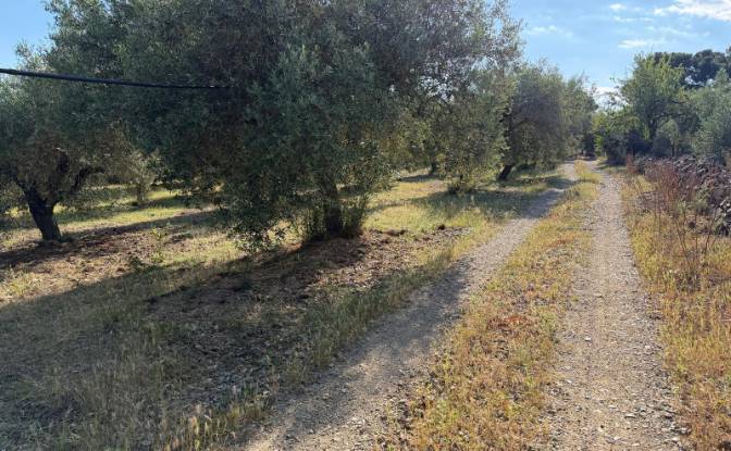 Land Lot for Sale 09041 Dolianova, Dolianova. Photo#3 Land Lot for Sale 09041 Dolianova, Dolianova. Photo#3