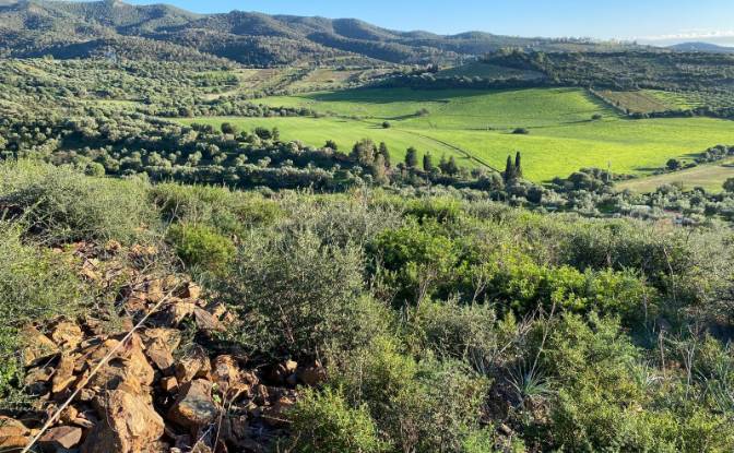 Land Lot for Sale - Dolianova, Italy