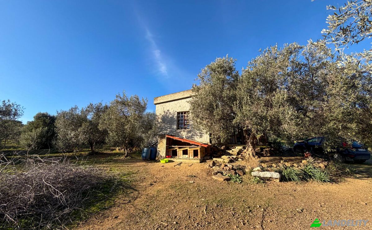 Land Lot for Sale 09041 Dolianova, Dolianova, Metropolitan City of Cagliari, Sardinia, Italy. Photo 12