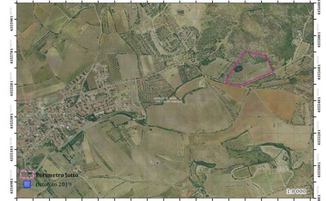 Land Lot for Sale 09041 Dolianova, Dolianova. Photo#7 Land Lot for Sale 09041 Dolianova, Dolianova. Photo#7