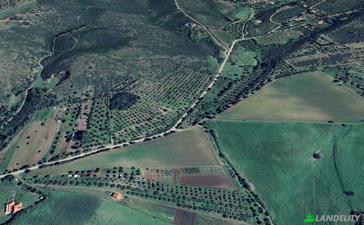 Land Lot for Sale 09041 Dolianova, Dolianova, Metropolitan City of Cagliari, Sardinia, Italy. Photo 11
