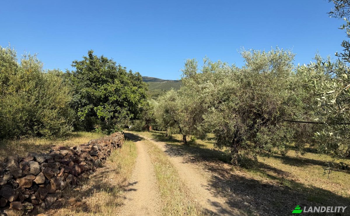 Land Lot for Sale 09041 Dolianova, Dolianova, Metropolitan City of Cagliari, Sardinia, Italy. Photo 2