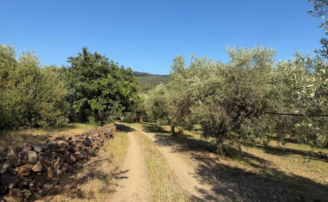 Land Lot for Sale 09041 Dolianova, Dolianova. Photo#2 Land Lot for Sale 09041 Dolianova, Dolianova. Photo#2