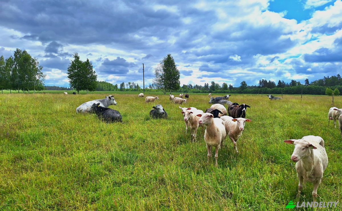 Farma/Ranczo na sprzedaż Vaidavas pagasts, Valmieras novads, LV-4228, Vaidava, Vaidava Parish, Valmiera Municipality, Latvia. Zdjęcie 18