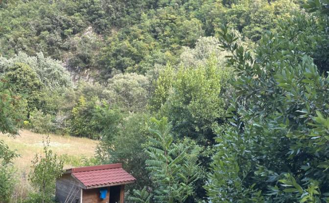 Villa for Sale Cros dUtelle, 06450 Utelle, Utelle. Photo#2