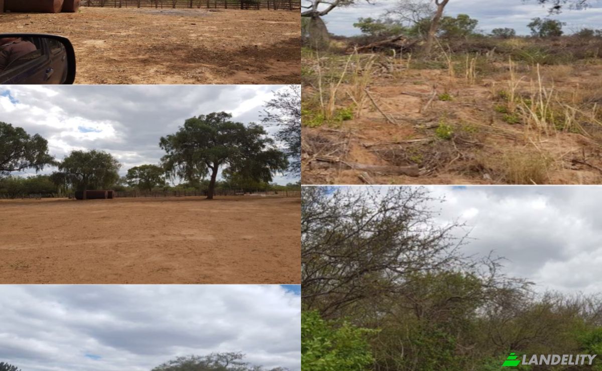 Investissement/Développement à vendre Zona la Patria, 160204, Estancia El Dorado, Mariscal Jose Felix Estigarribia, Boqueron department, Paraguay. Photo 2
