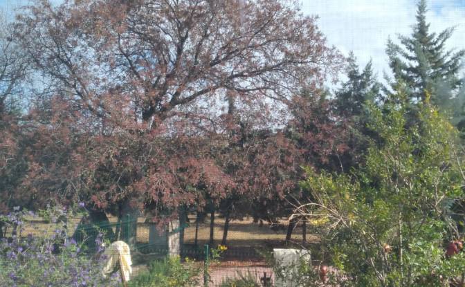 Land Lot for Sale - Cumhuriyet, Turkiye