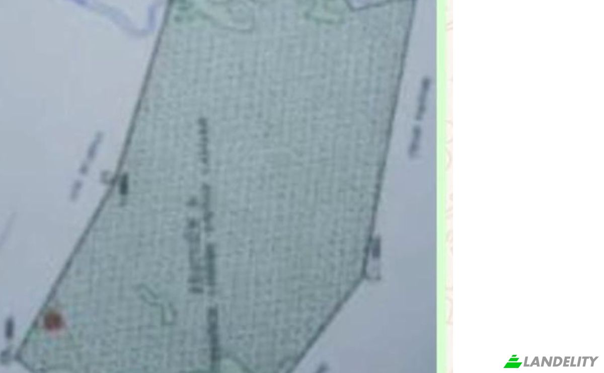 Investissement/Développement à vendre Via Sin Nombre, YariguaAmi 091305, YariguaAmi, Sapucai, Paraguari Department, Paraguay. Photo 6