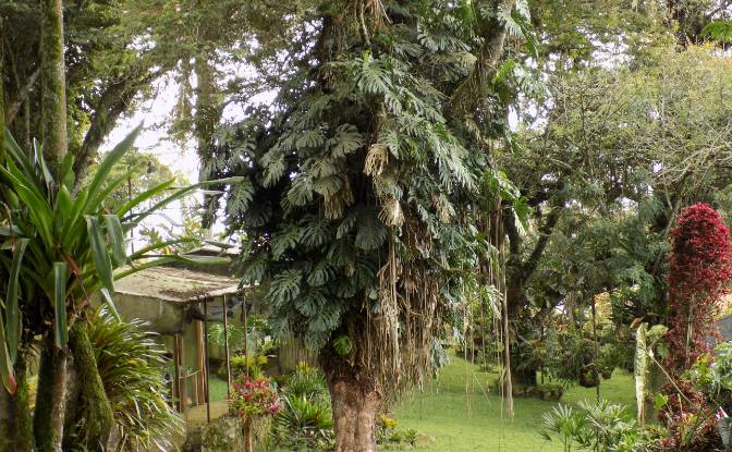 Villa for Sale Fusagasuga, Cundinamarca, Colombia. Photo#13 Villa for Sale Fusagasuga, Cundinamarca, Colombia. Photo#13