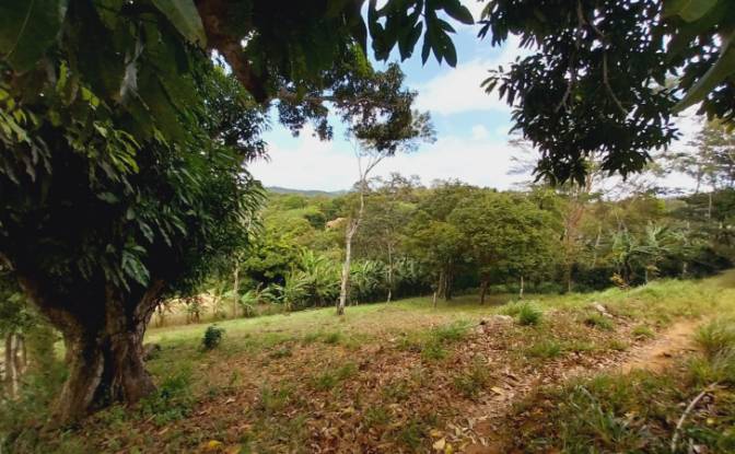Land Lot for Sale Sitio Couros, Mulungu, Ceara. Photo#2 Land Lot for Sale Sitio Couros, Mulungu, Ceara. Photo#2