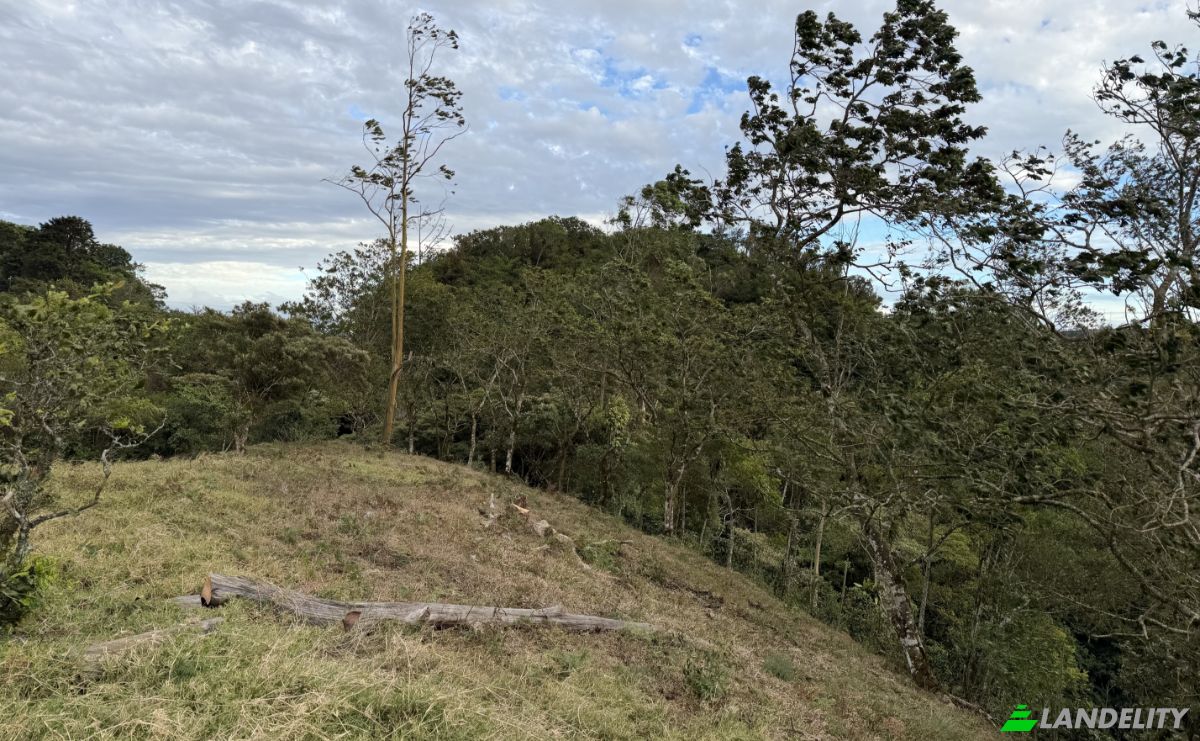 Lote de terreno en venta Provincia de Alajuela, San Ramón, Costa Rica. Foto 10