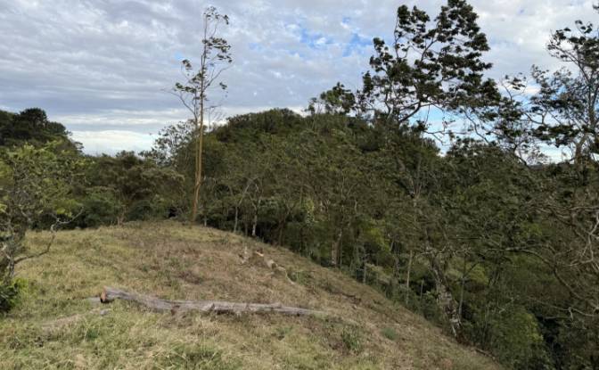 Lote de terreno en venta Provincia de Alajuela. Foto#10