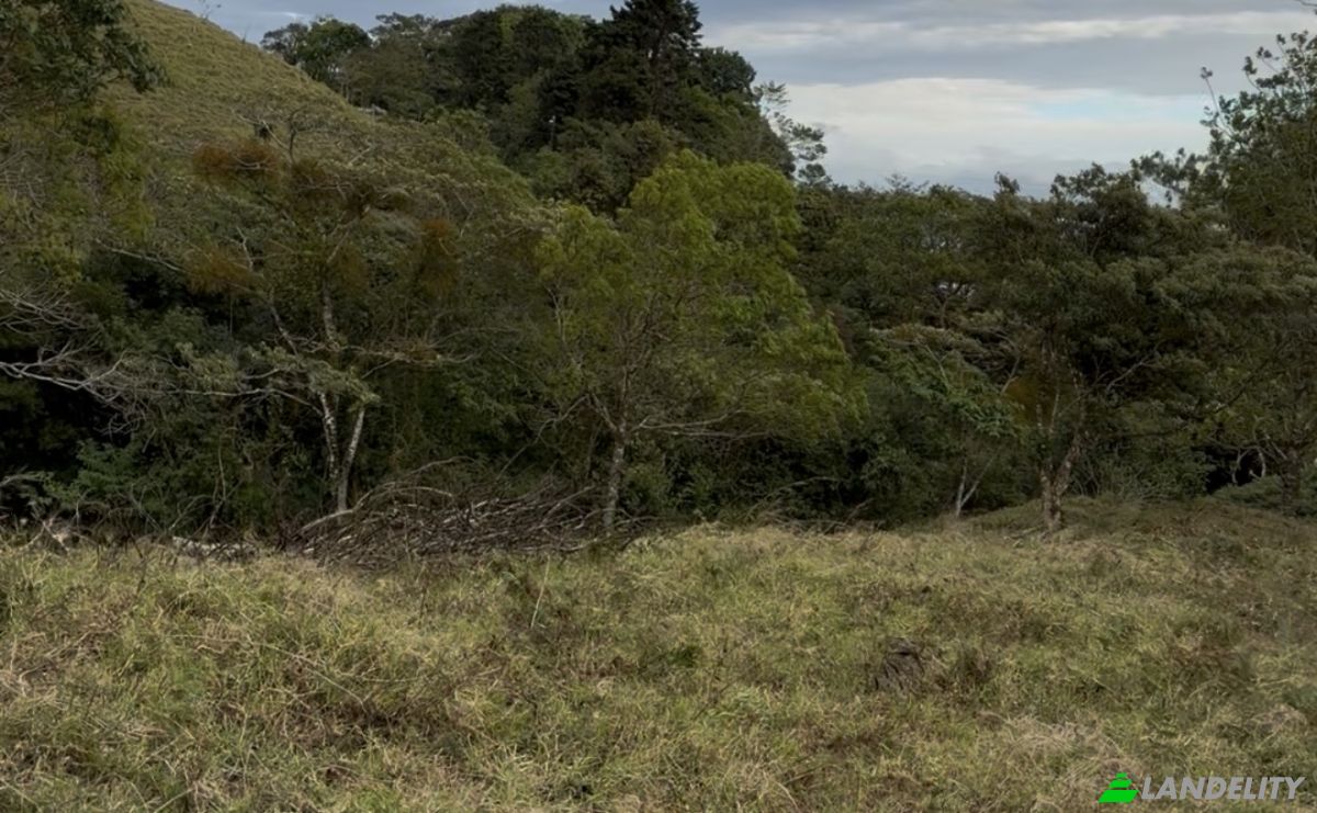 Lote de terreno en venta Provincia de Alajuela, San Ramón, Costa Rica. Foto 5