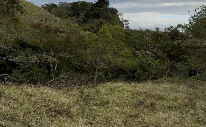 Lote de terreno en venta Provincia de Alajuela. Foto#5