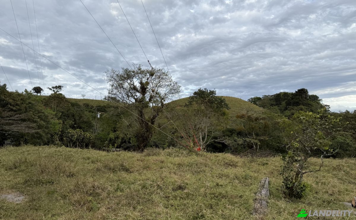 Lote de terreno en venta Provincia de Alajuela, San Ramón, Costa Rica. Foto 9