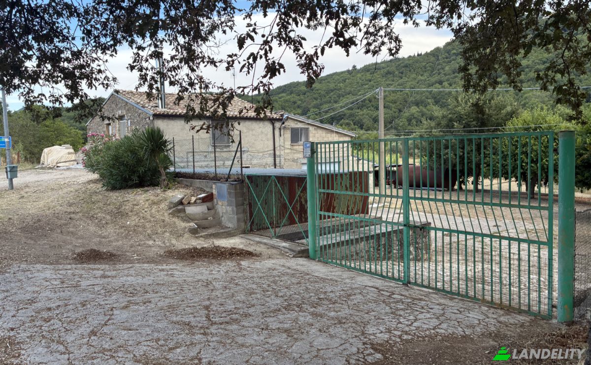 Farm/Ranch for Sale Contrada Piane, 66050 Guilmi CH, Guilmi, Province of Chieti, Abruzzo, Italy. Photo 3