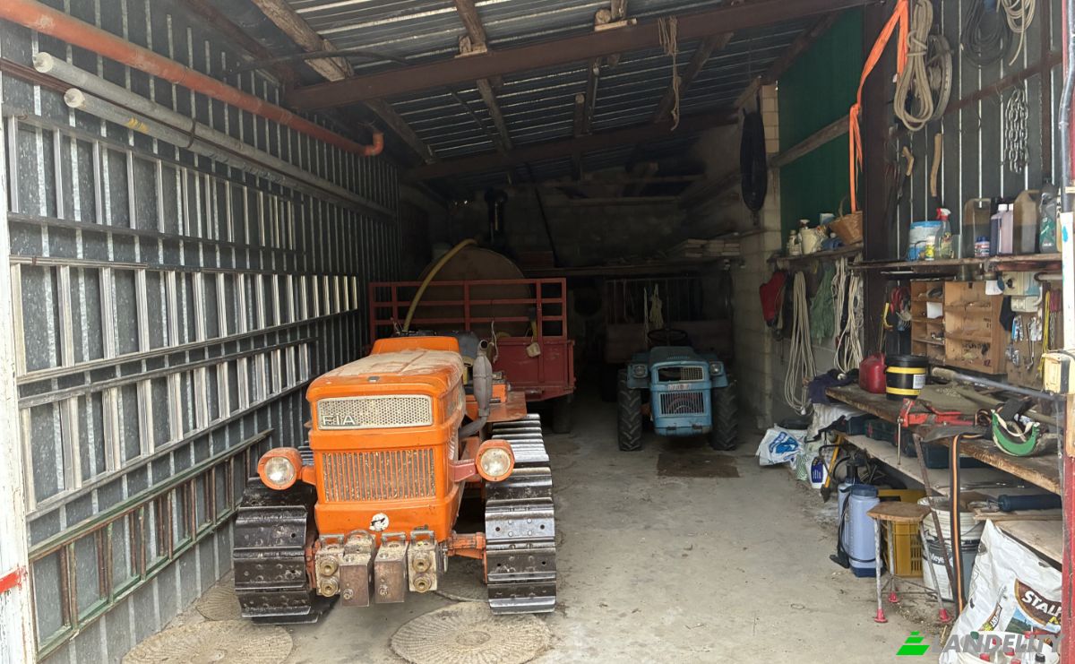 Farm/Ranch for Sale Contrada Piane, 66050 Guilmi CH, Guilmi, Province of Chieti, Abruzzo, Italy. Photo 6