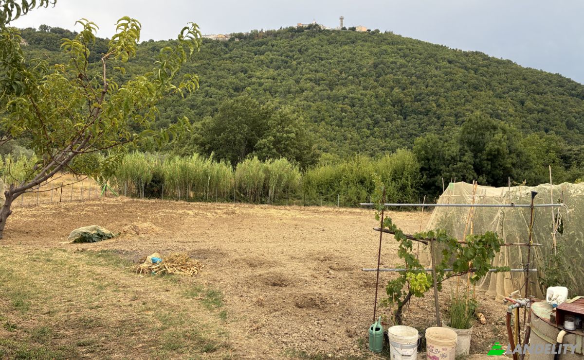 Farm/Ranch for Sale Contrada Piane, 66050 Guilmi CH, Guilmi, Province of Chieti, Abruzzo, Italy. Photo 7