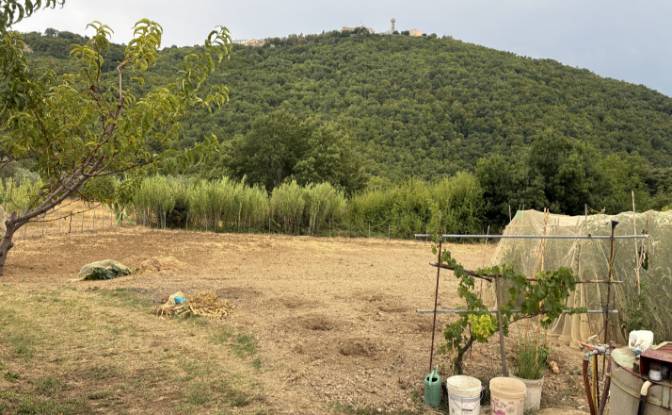 Farm/Ranch for Sale Contrada Piane. Photo#7 Farm/Ranch for Sale Contrada Piane. Photo#7