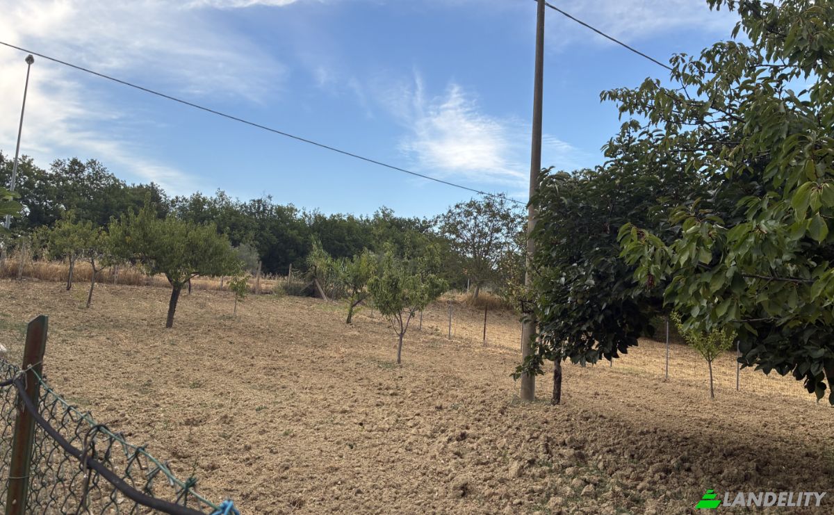 Farm/Ranch for Sale Contrada Piane, 66050 Guilmi CH, Guilmi, Province of Chieti, Abruzzo, Italy. Photo 8