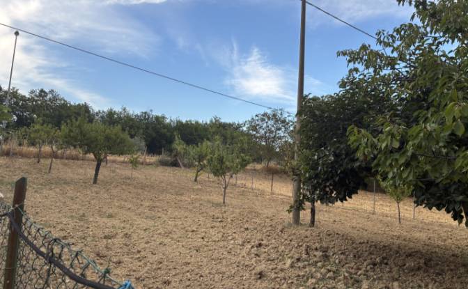 Farm/Ranch for Sale Contrada Piane. Photo#8 Farm/Ranch for Sale Contrada Piane. Photo#8