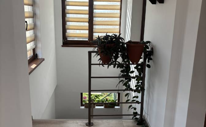 Villa for Sale Put Bez Ime, 8650 Malomir, Malomir. Photo#18