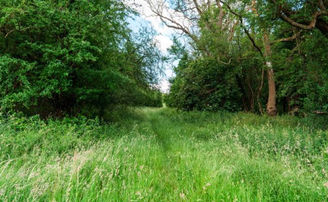 Lotto di terreno in vendita Keston BR2 6AR, Keston. Foto#8