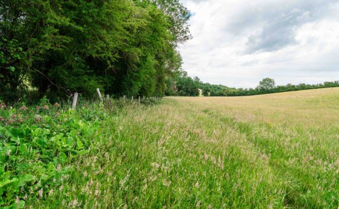 Lotto di terreno in vendita Keston BR2 6AR, Keston. Foto#11