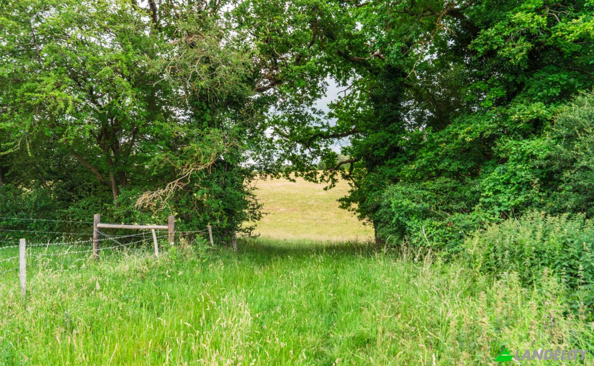 Lotto di terreno in vendita Keston BR2 6AR, Keston, Greater London, England, United Kingdom. Foto 14