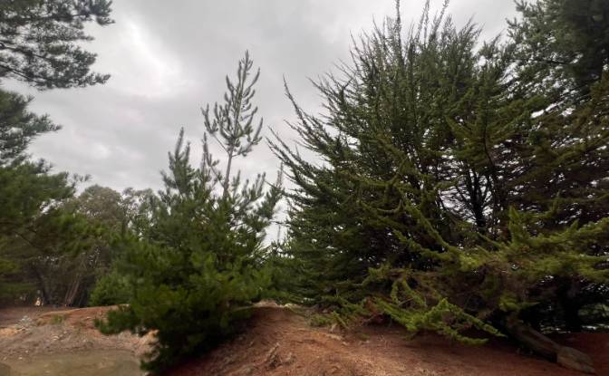 Investing/Development for Sale - Pichilemu, Chile