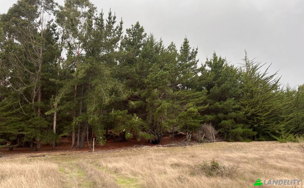 Investing/Development for Sale Pichilemu, Cardenal Caro, OHiggins, Chile. Photo 3