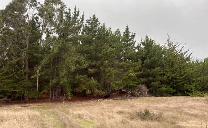Investing/Development for Sale Pichilemu. Photo#3 Investing/Development for Sale Pichilemu. Photo#3