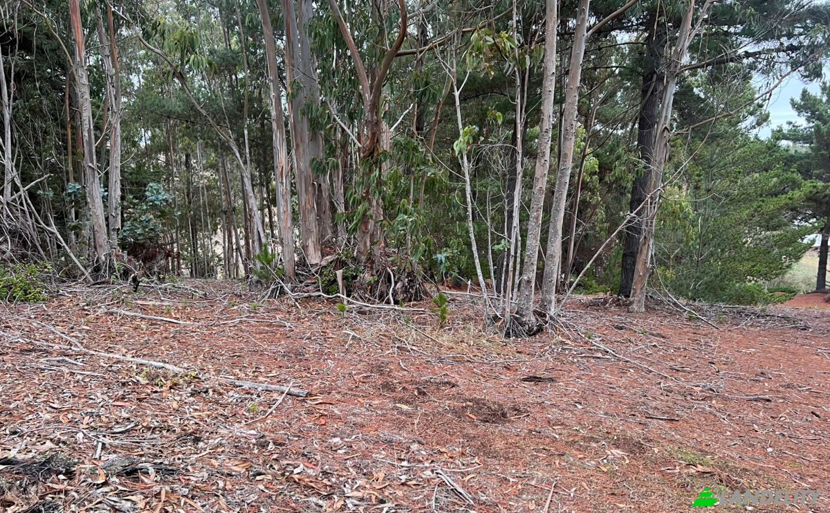 Investing/Development for Sale Pichilemu, Cardenal Caro, OHiggins, Chile. Photo 4