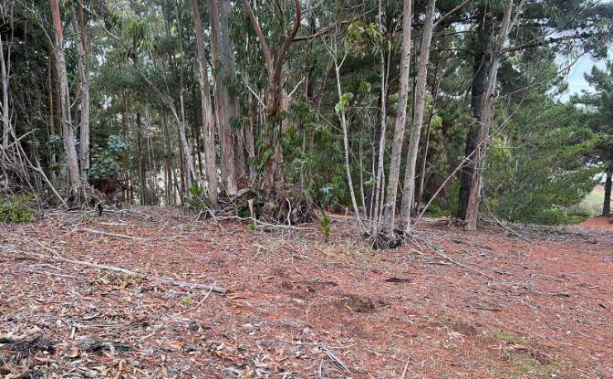 Investing/Development for Sale Pichilemu. Photo#4 Investing/Development for Sale Pichilemu. Photo#4