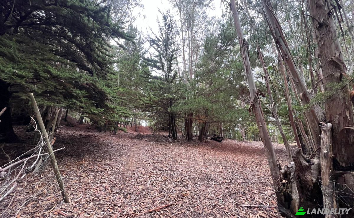 Investing/Development for Sale Pichilemu, Cardenal Caro, OHiggins, Chile. Photo 5