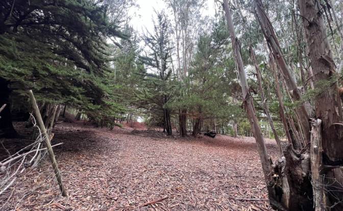 Investing/Development for Sale Pichilemu. Photo#5 Investing/Development for Sale Pichilemu. Photo#5