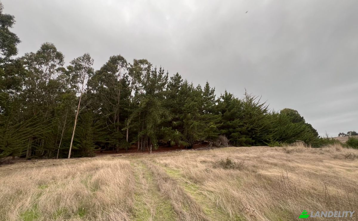 Investing/Development for Sale Pichilemu, Cardenal Caro, OHiggins, Chile. Photo 8