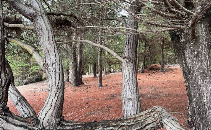 Investing/Development for Sale Pichilemu. Photo#9 Investing/Development for Sale Pichilemu. Photo#9