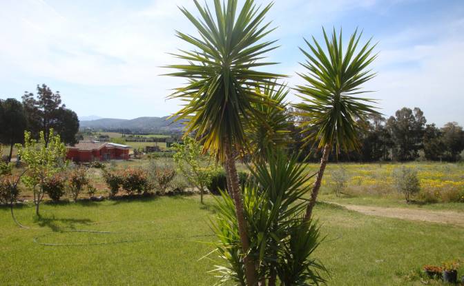 Farm/Ranch for Sale - Villasalto, Italy